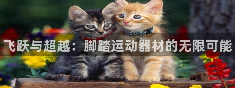 凯捷体育平台注册要钱吗是真的吗：飞跃与超越：脚踏运动