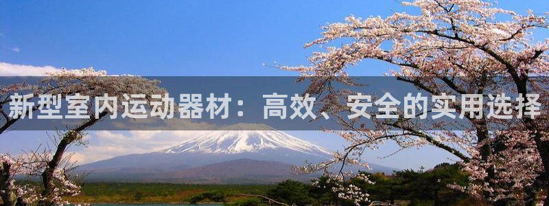 凯捷体育神州：新型室内运动器材：高效、安全的实用选择
