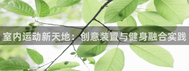 凯捷体育：室内运动新天地：创意装置与健身融合实践