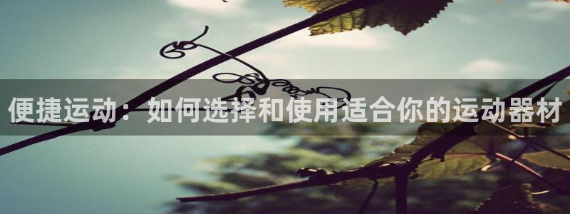 凯捷体育集团官网首页：便捷运动：如何选择和使用适合你