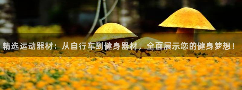 凯捷体育娱乐：精选运动器材：从自行车到健身器材，全面