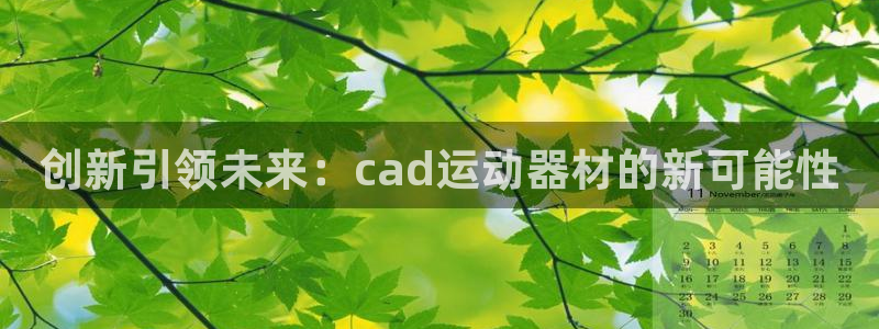 凯捷体育娱乐网站：创新引领未来：cad运动器材的新可