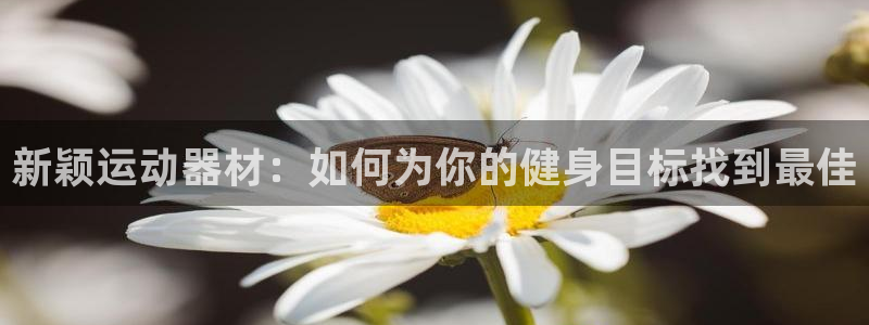 凯捷体育集团logo：新颖运动器材：如何为你的健身目