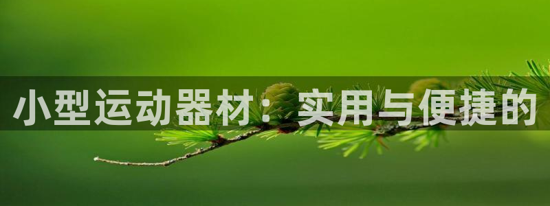 凯捷体育招商电话号码是多少：小型运动器材：实用与便捷
