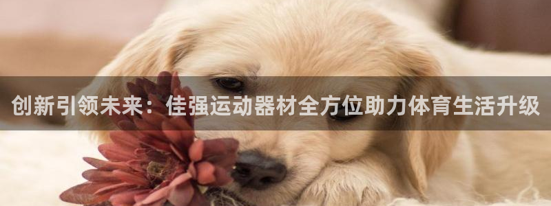 凯捷体育集团官网网址：创新引领未来：佳强运动器材全方