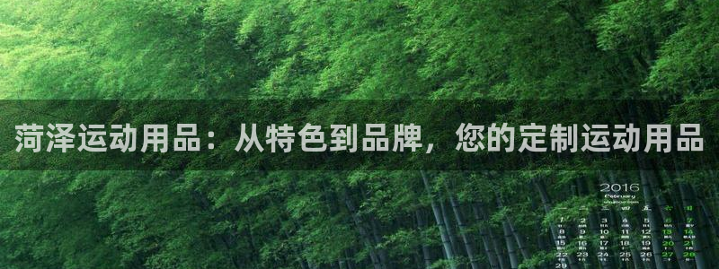 凯捷体育娱乐平台：菏泽运动用品：从特色到品牌，您的定