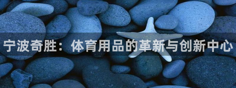 德国凯捷体育集团：宁波奇胜：体育用品的革新与创新中心