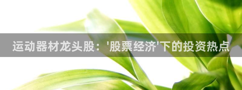 凯捷体育开户：运动器材龙头股：\'股票经济\'下的投