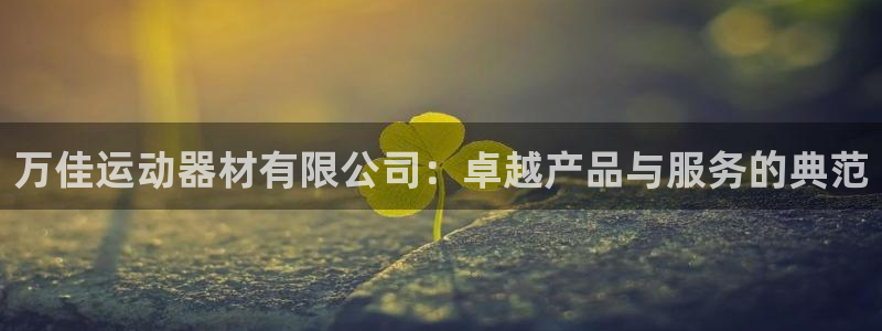 凯捷体育开户：万佳运动器材有限公司：卓越产品与服务的