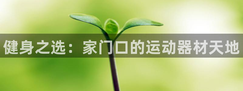 凯捷体育娱乐网站：健身之选：家门口的运动器材天地