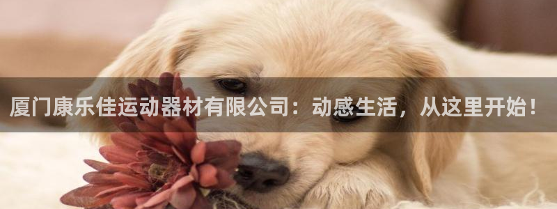 凯捷体育科技：厦门康乐佳运动器材有限公司：动感生活，