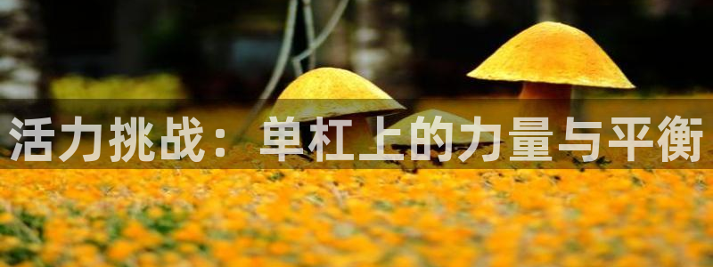 凯捷体育开户：活力挑战：单杠上的力量与平衡