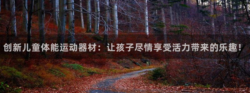 凯捷体育娱乐下载：创新儿童体能运动器材：让孩子尽情享