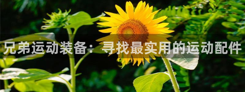 凯捷体育娱乐首页官网下载：兄弟运动装备：寻找最实用的