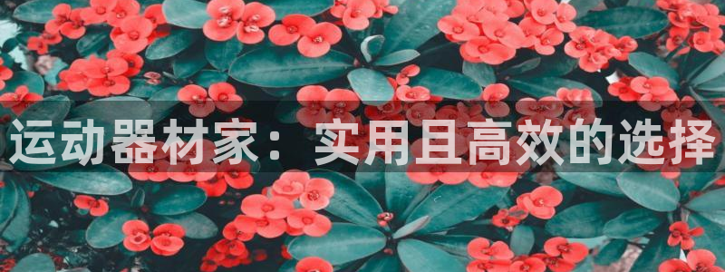 凯捷体育招商：运动器材家：实用且高效的选择