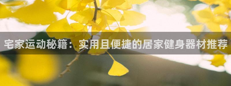 凯捷体育开户：宅家运动秘籍：实用且便捷的居家健身器材