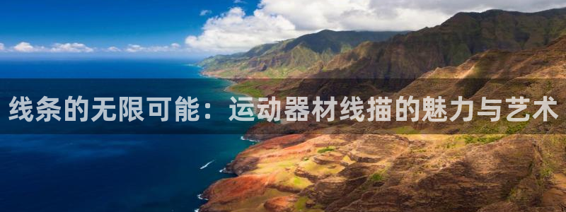 凯捷体育平台注册要钱吗：线条的无限可能：运动器材线描