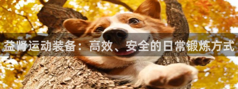 凯捷体育平台是正规平台吗：益肾运动装备：高效、安全的