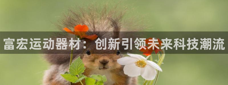 凯捷体育集团官网网址：富宏运动器材：创新引领未来科技