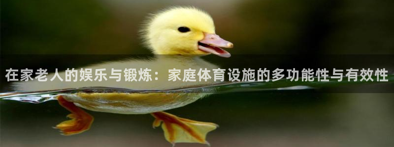 凯捷体育招商电话是多少啊：在家老人的娱乐与锻炼：家庭