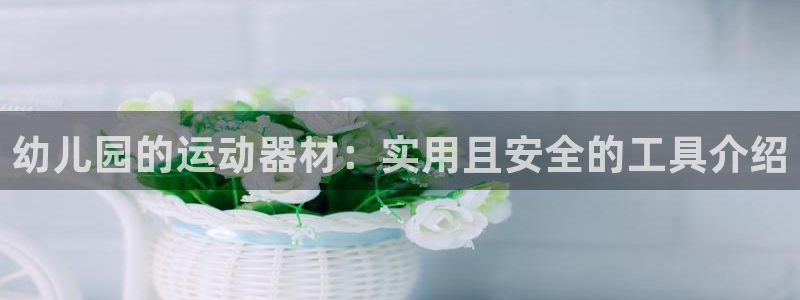 凯捷体育招商电话地址：幼儿园的运动器材：实用且安全的