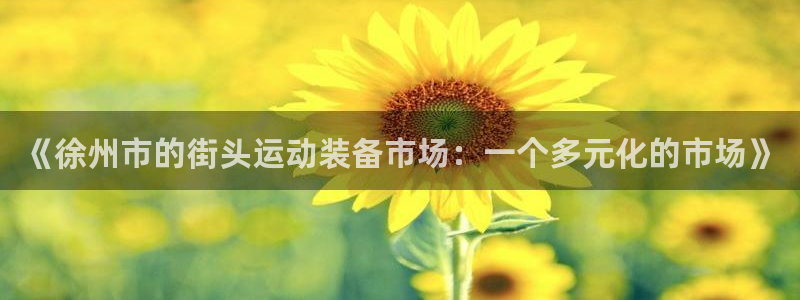 凯捷体育集团官网首页：《徐州市的街头运动装备市场：一个多元化