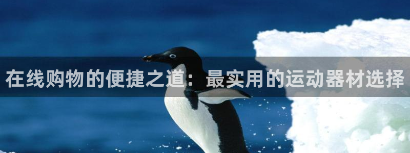 凯捷体育集团logo：在线购物的便捷之道：最实用的运动器材选