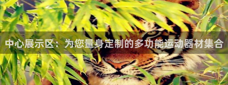 凯捷体育招商：中心展示区：为您量身定制的多功能运动器