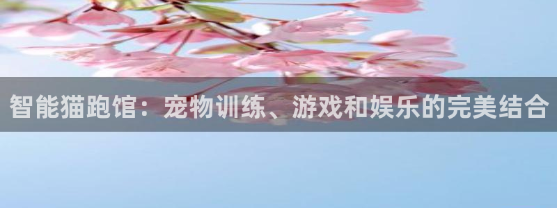 凯捷体育娱乐首页网站大全：智能猫跑馆：宠物训练、游戏和娱乐的