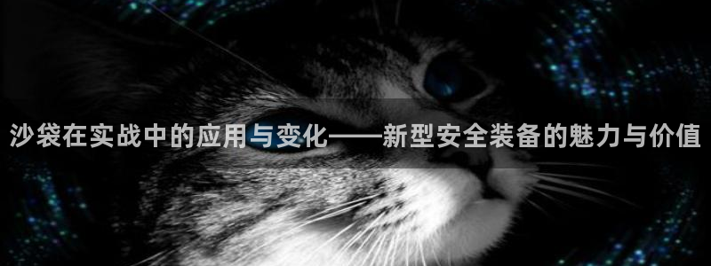 凯捷体育五金厂：沙袋在实战中的应用与变化——新型安全装备的魅