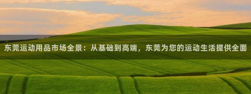 凯捷体育娱乐40996：东莞运动用品市场全景：从基础到高端，