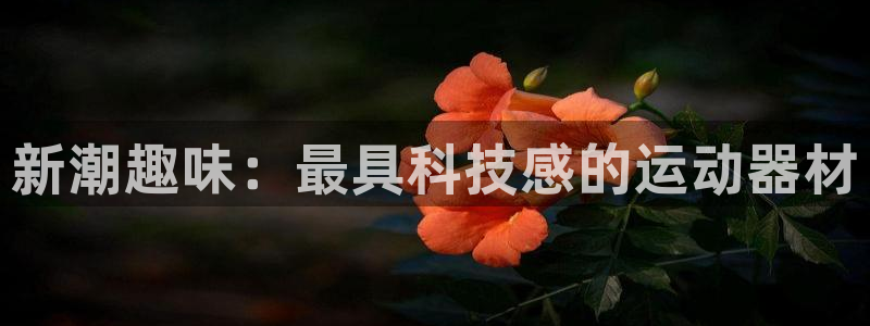 凯捷体育：新潮趣味：最具科技感的运动器材