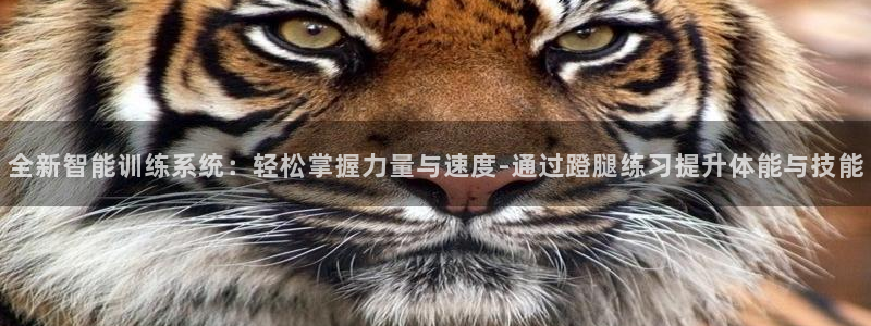 凯捷体育平台假的吗是真的吗：全新智能训练系统：轻松掌
