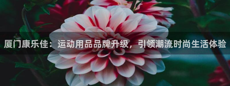 凯捷体育平台注册流程视频：厦门康乐佳：运动用品品牌升