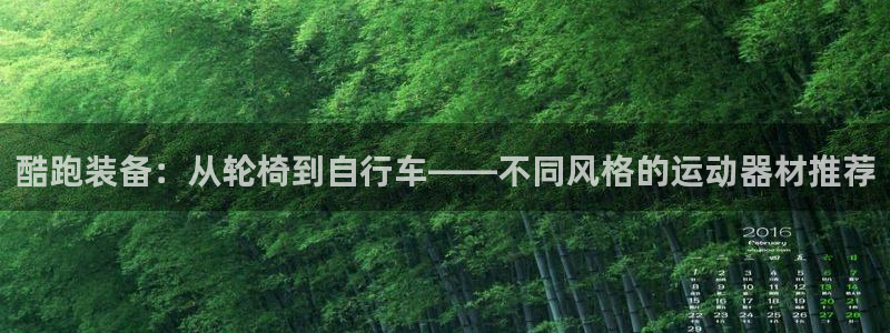 凯捷体育集团logo：酷跑装备：从轮椅到自行车——不