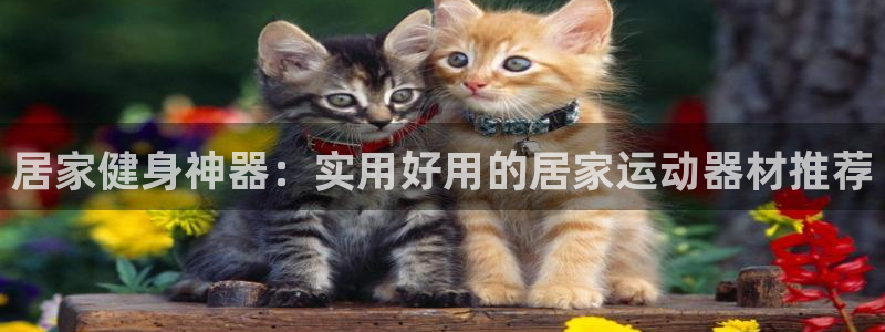 凯捷体育招商电话是多少啊：居家健身神器：实用好用的居