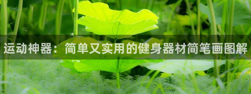 凯捷体育科技：运动神器：简单又实用的健身器材简笔画图