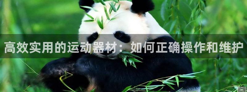 凯捷体育招商电话是多少号码：高效实用的运动器材：如何