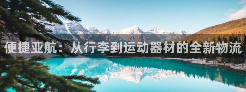 凯捷体育平台假的吗是真的吗：便捷亚航：从行李到运动器