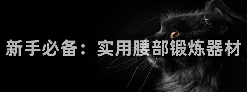 凯捷体育招商电话是多少啊：新手必备：实用腰部锻炼器材