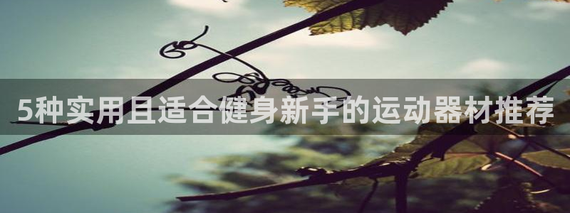 凯捷体育平台是正规平台吗安全吗：5种实用且适合健身新