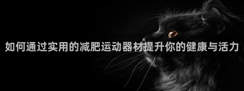 凯捷体育平台注册：如何通过实用的减肥运动器材提升你的