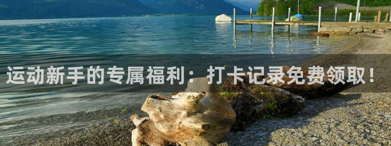 凯捷体育娱乐首页官网下载：运动新手的专属福利：打卡记