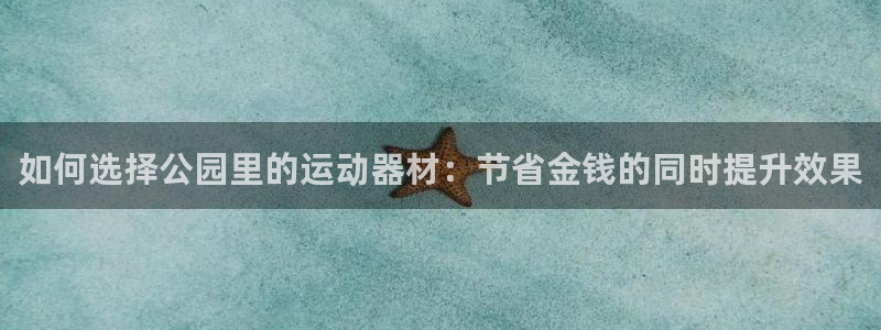 意昂平台体育：如何选择公园里的运动器材：节省金钱的同