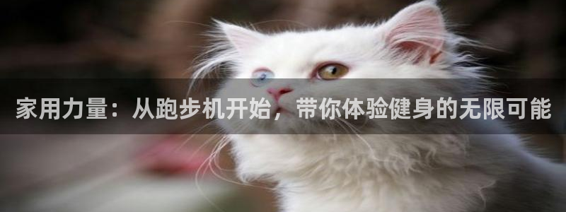 凯捷体育是干嘛的公司：家用力量：从跑步机开始，带你体