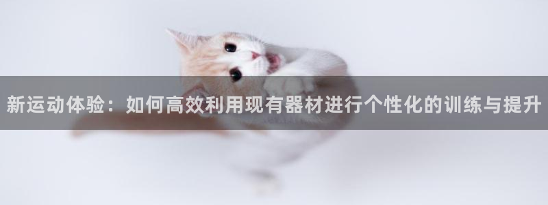 凯捷体育五金厂：新运动体验：如何高效利用现有器材进行