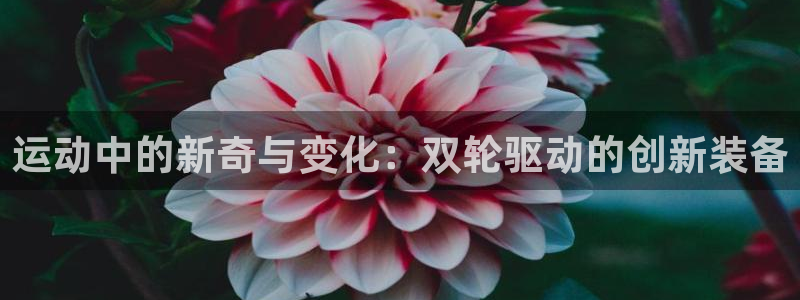 凯捷体育招商电话号码是多少号：运动中的新奇与变化：双