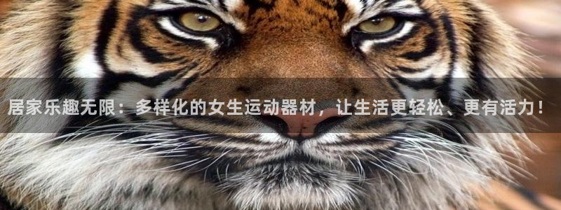 凯捷体育集团官网网址：居家乐趣无限：多样化的女生运动