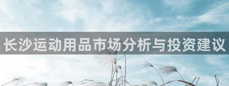凯捷体育娱乐下载：长沙运动用品市场分析与投资建议