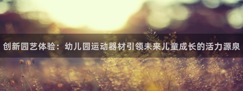 凯捷体育平台注册流程图：创新园艺体验：幼儿园运动器材